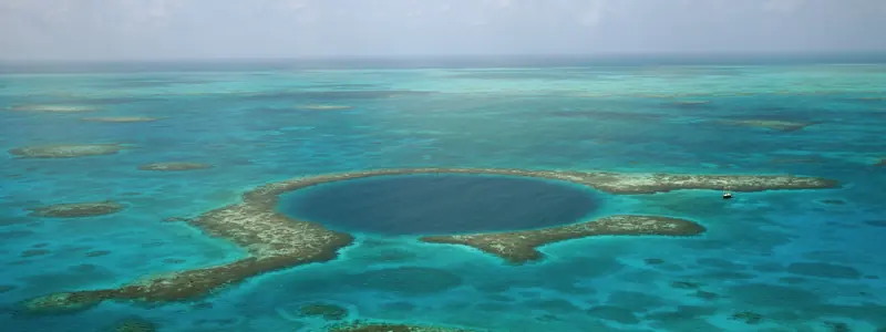 Belice