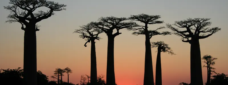 Madagascar